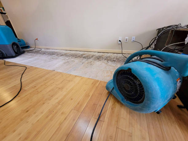 Reliable Burst Pipe Water Damage contractor in Garwood, NJ by Hirex Water Damage