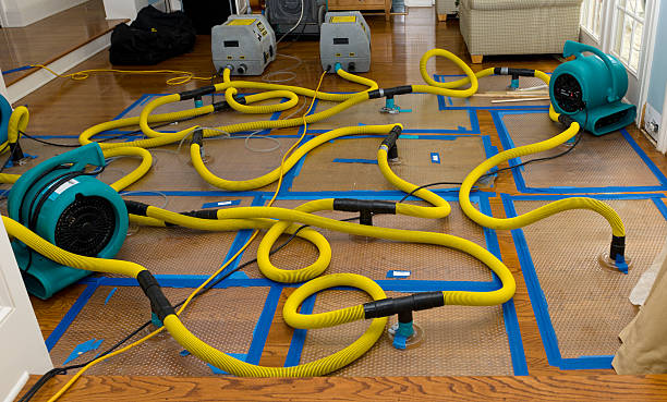 Professional Burst Pipe Water Damage technician working in Garwood, NJ